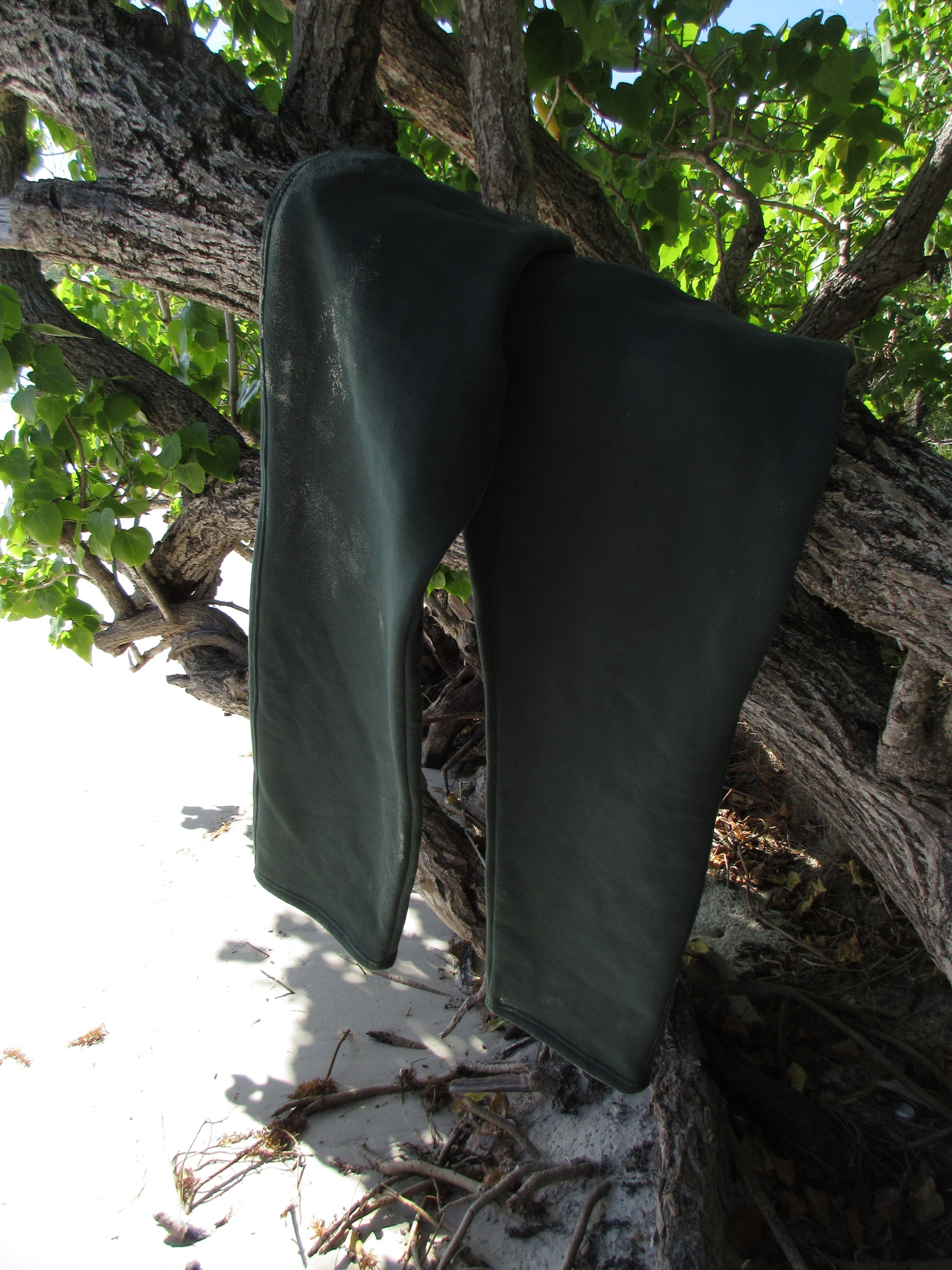 Eden Essential Sweats